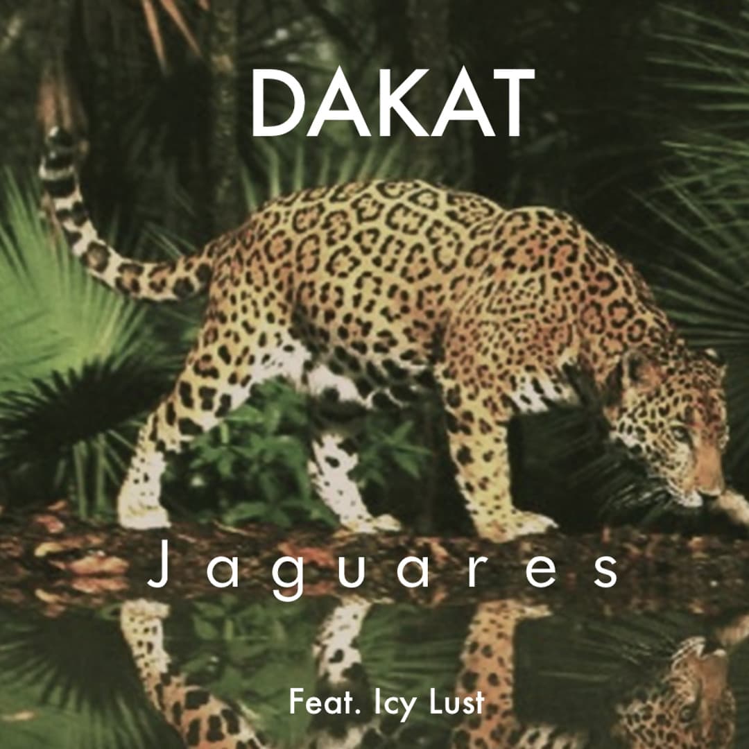 Jaguares by Dakat